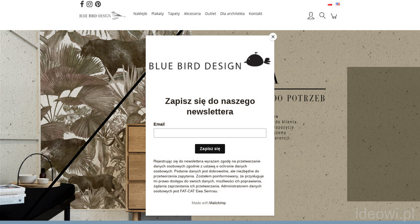 bluebird-design
